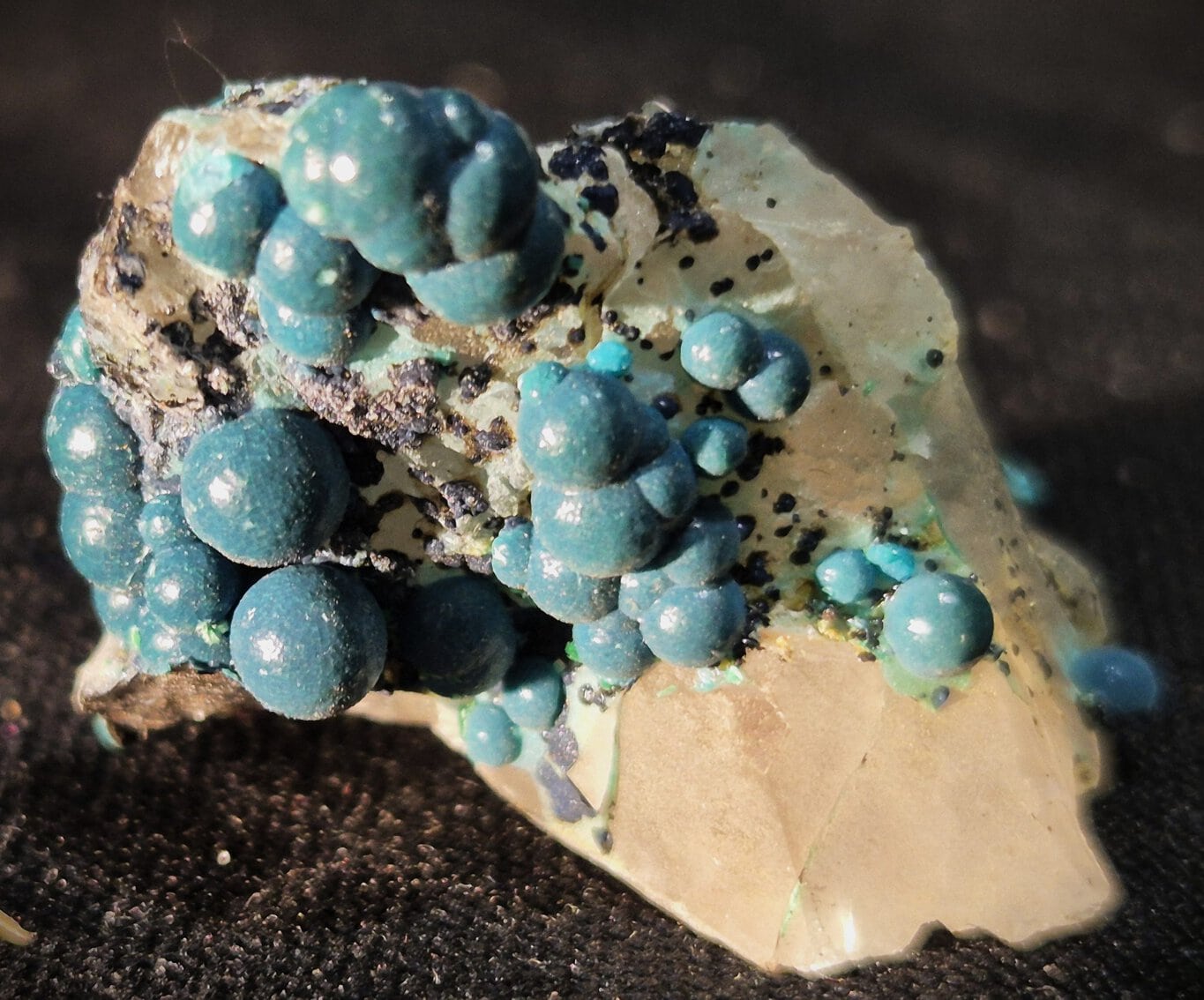 Chrysocolle botryoïdal – Image 2
