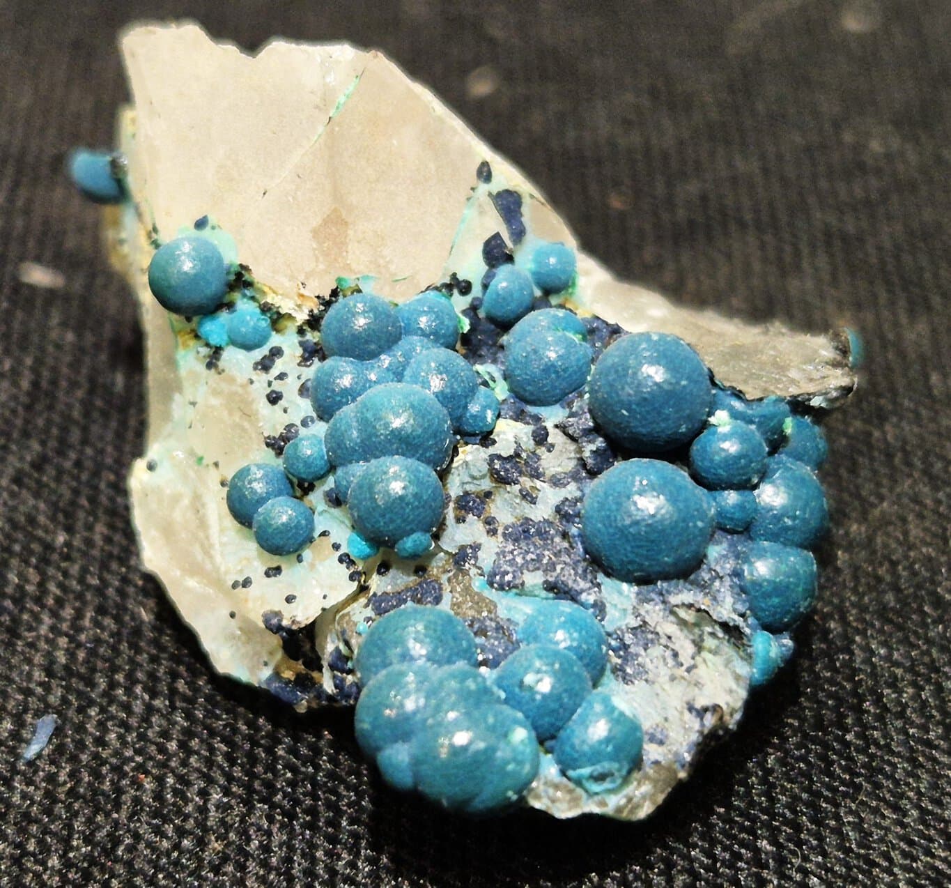 Chrysocolle botryoïdal