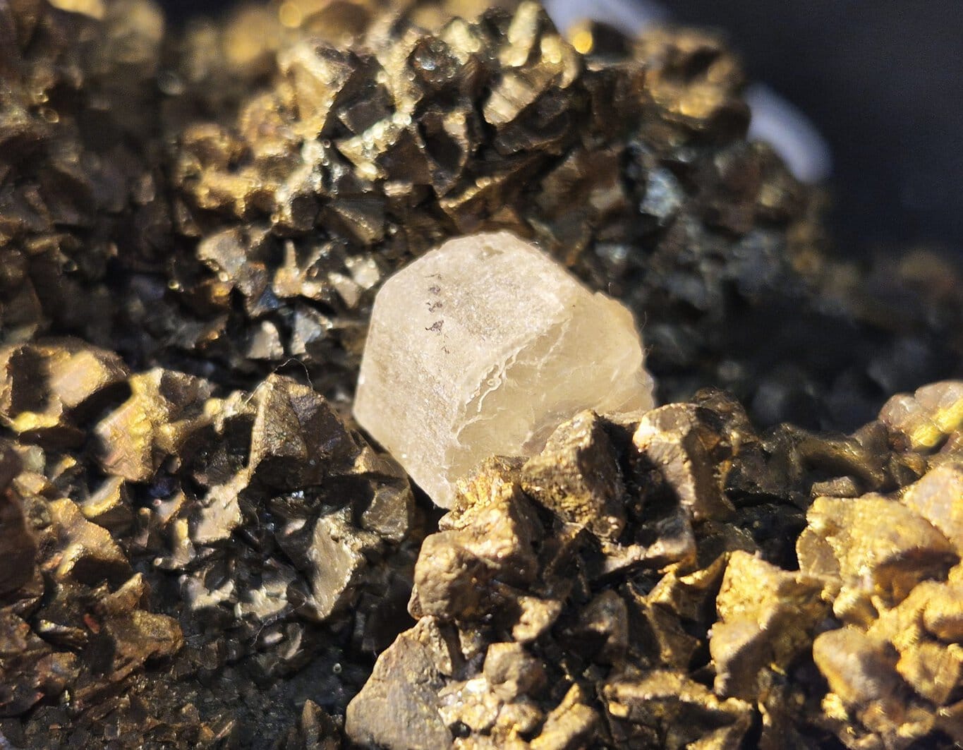 Apatite sur chalcopyrite – Image 3
