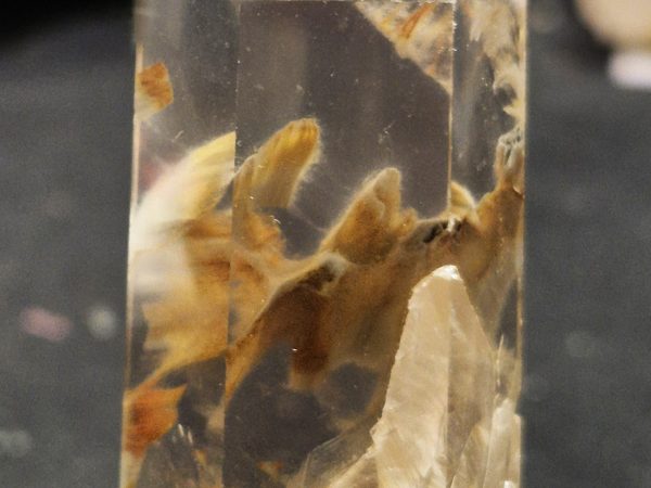 Quartz à Amphibole