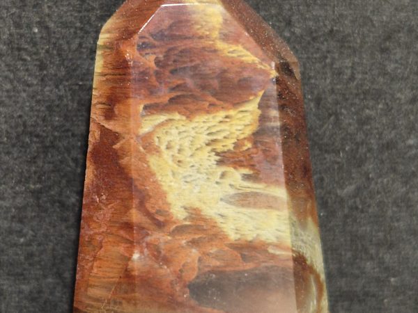 Inclusion d'Amphibole dans Quartz