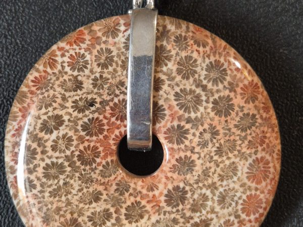 Corail fossilisé disque