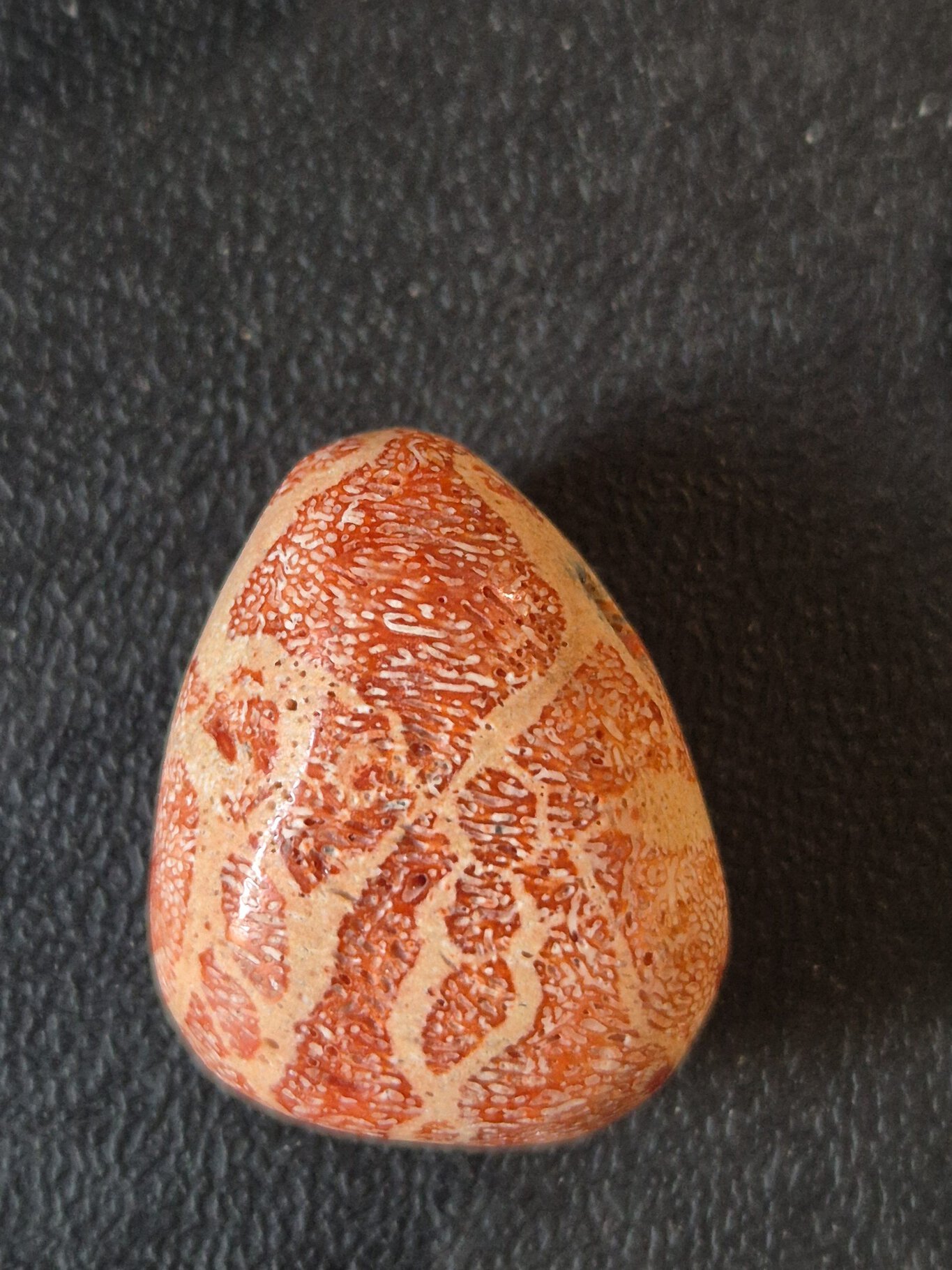 Corail gorgone rouge n1