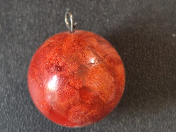 Corail gorgone rouge boule