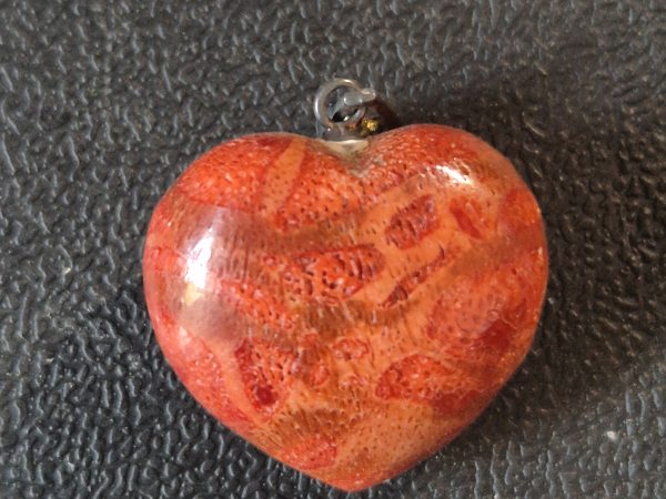 corail-gorgone-coeur