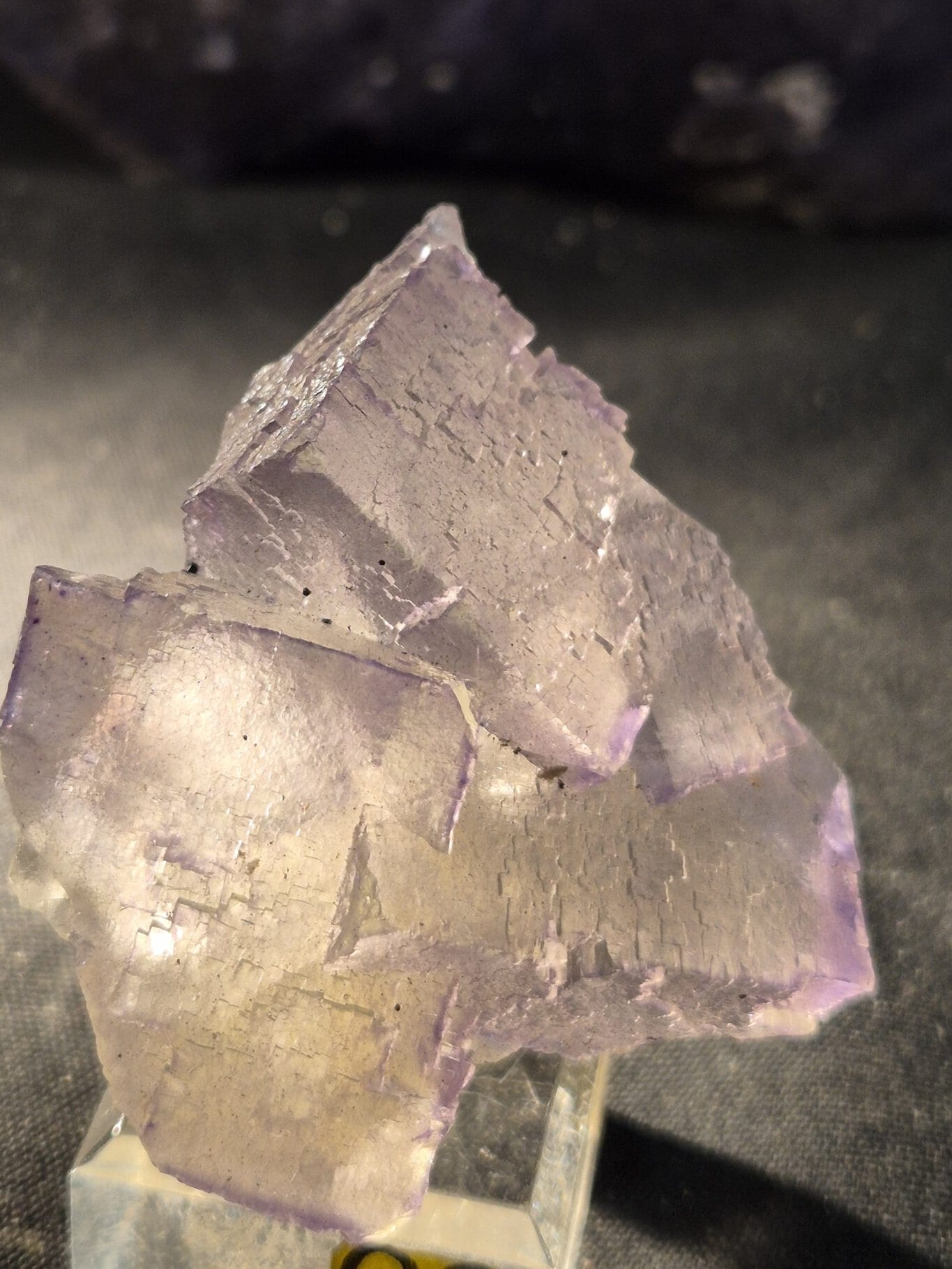Fluorite Cohuila – Image 3