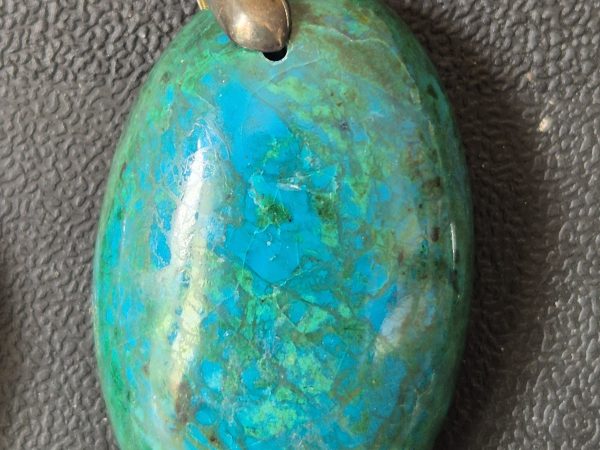 Chrysocolle ovale