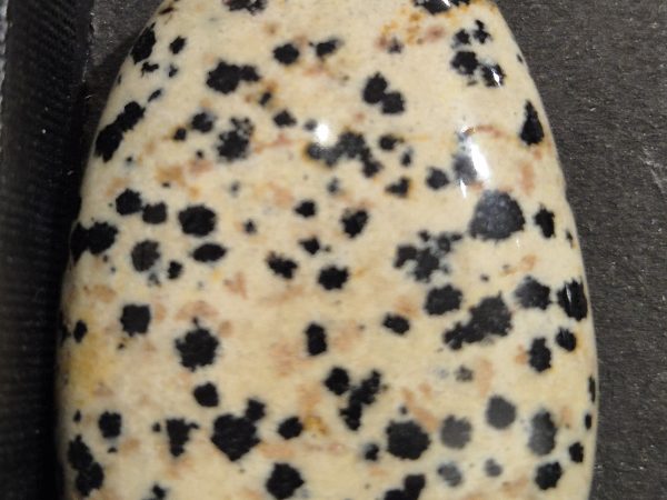 Jaspe Dalmatien galet poli