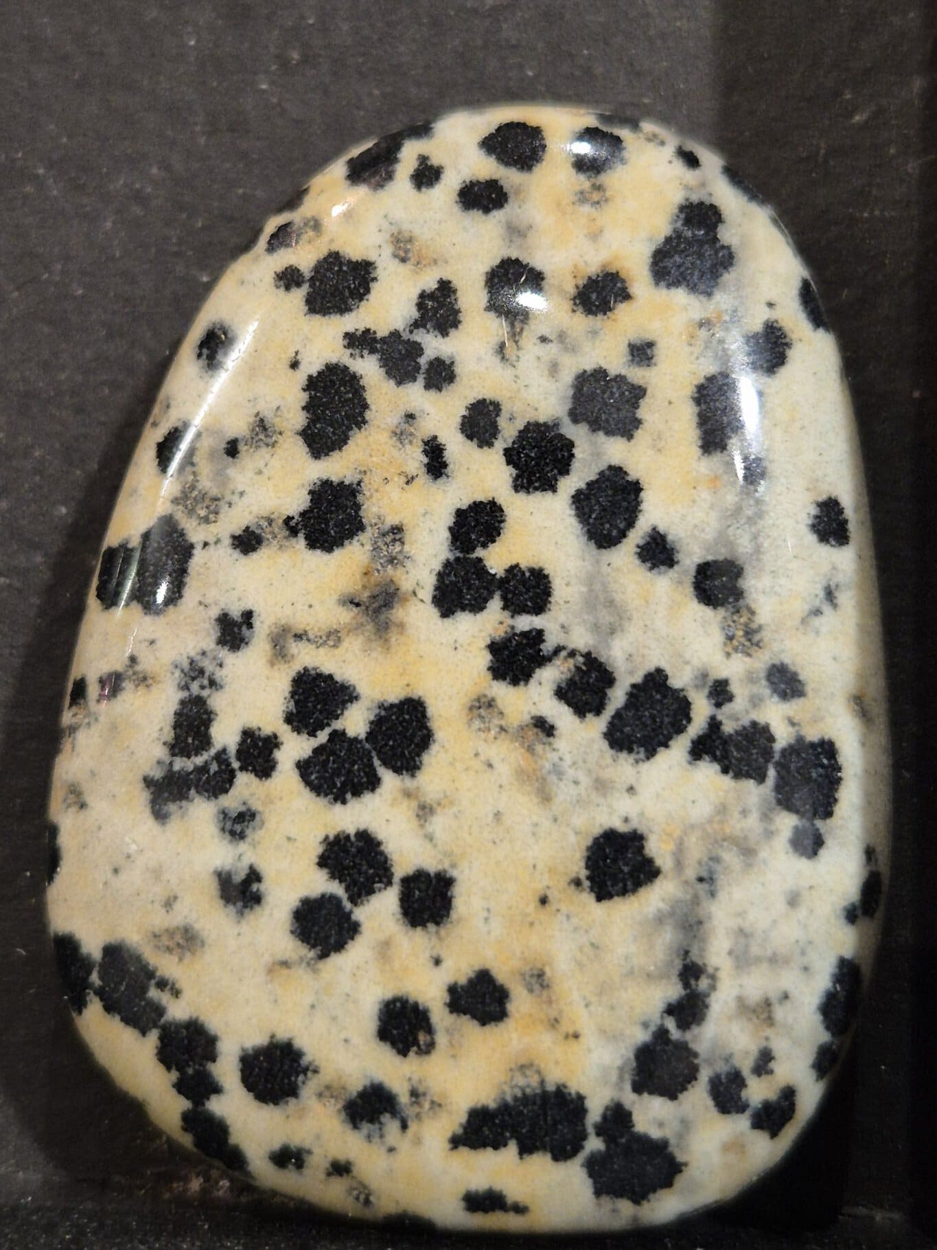 Jaspe Dalmatien galet