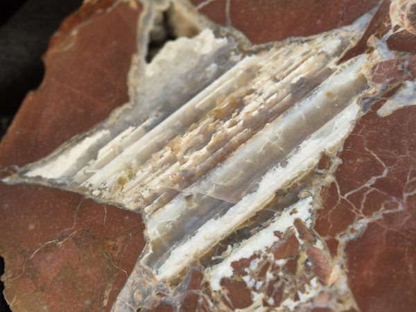 Agate Utah