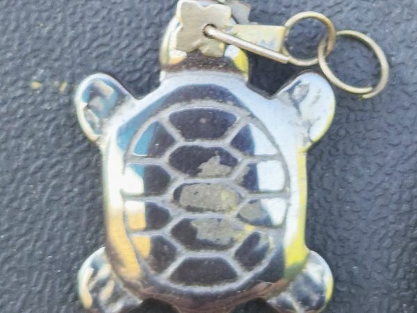 Hématite tortue