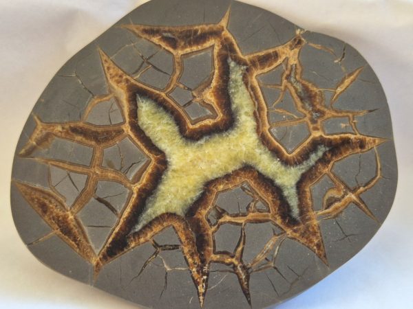 Septaria à calcite jaune