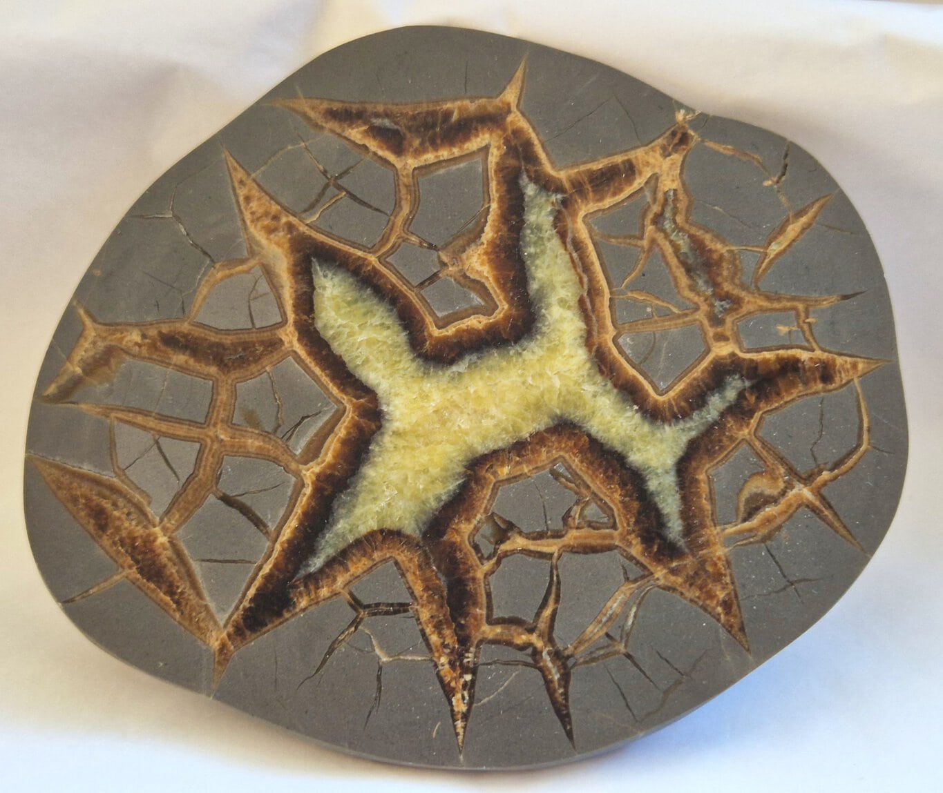 Septaria à calcite jaune