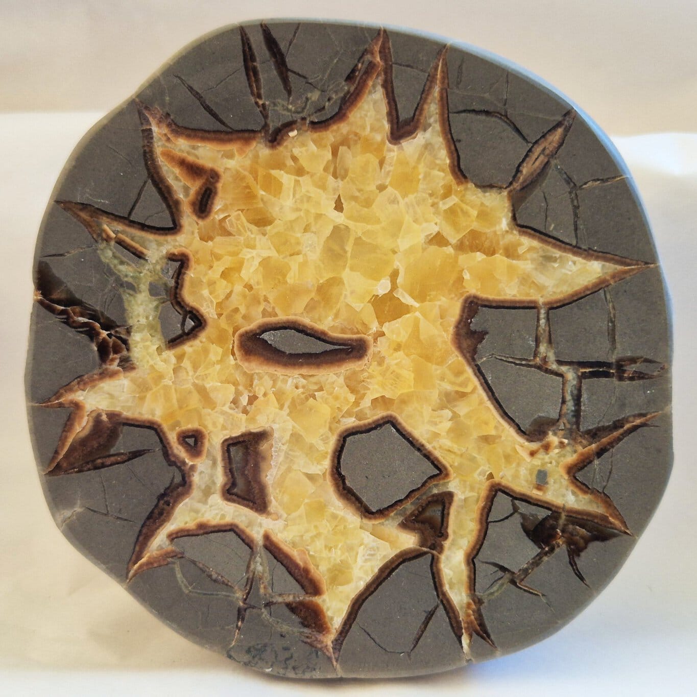 Septaria calcite et aragonite