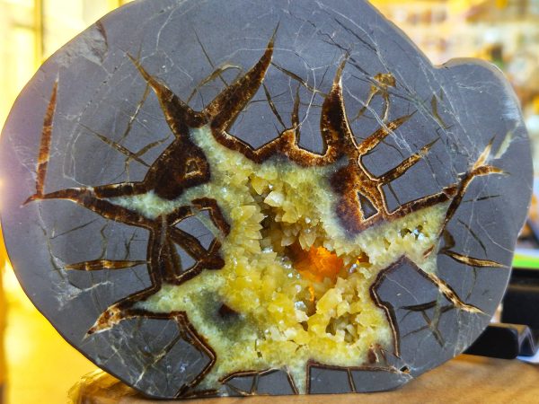Septaria tranche cristallisée