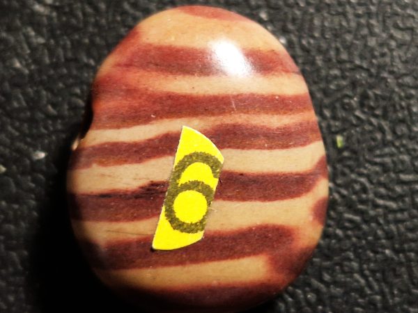 Jaspe Zebra oval