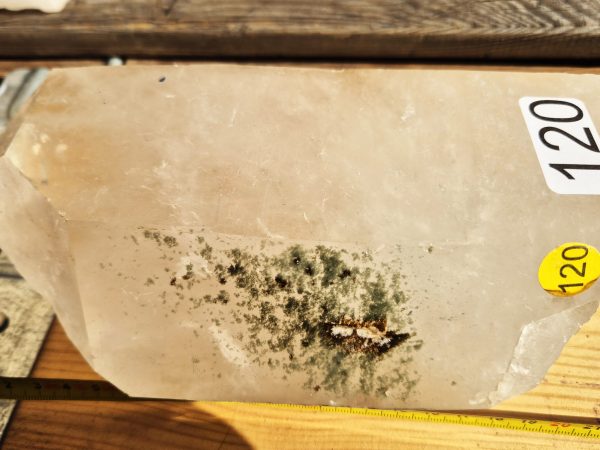 Cristal de Quartz avec chlorite